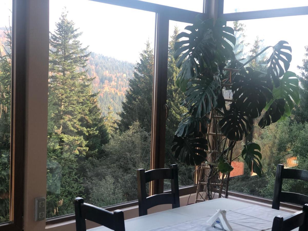 Genco Hotel Mountain View Predeal Bagian luar foto