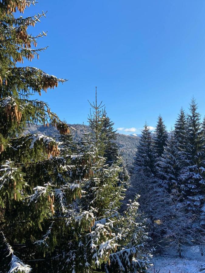 Genco Hotel Mountain View Predeal Bagian luar foto