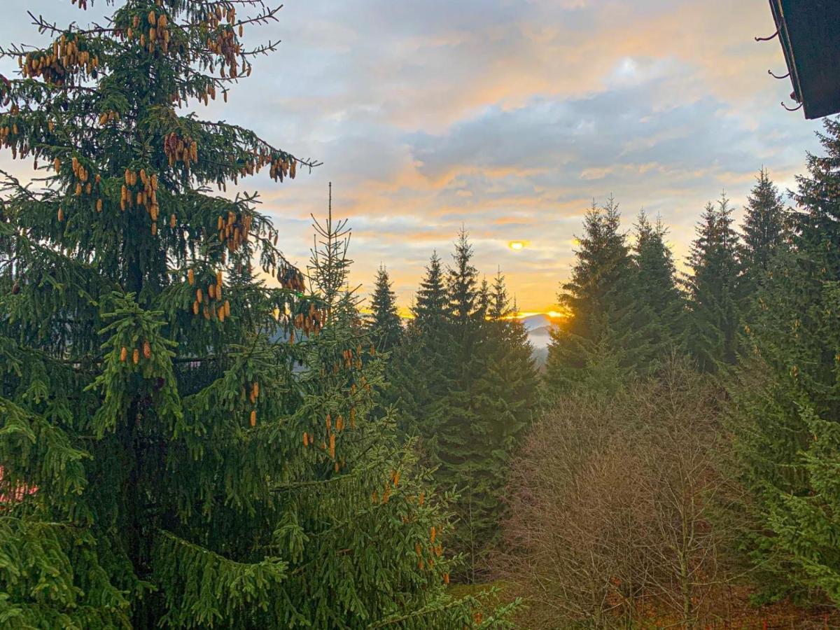 Genco Hotel Mountain View Predeal Bagian luar foto