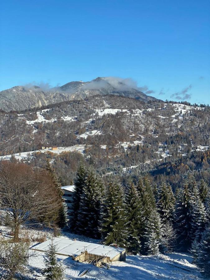 Genco Hotel Mountain View Predeal Bagian luar foto